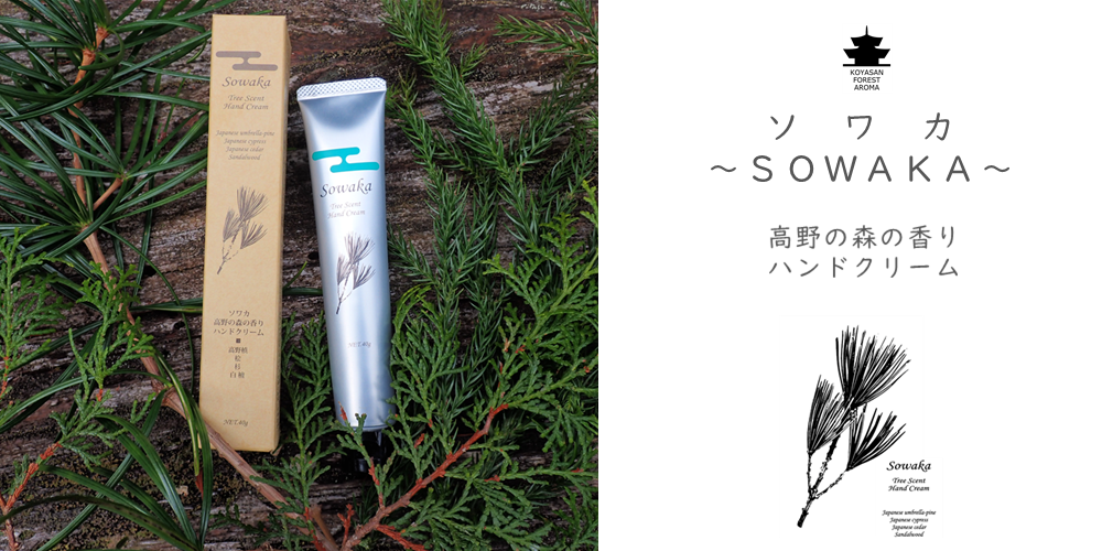 高野山寺領森林組合 10年の森林を後世へ 世界遺産高野山の森林環境の護持育成を担っています